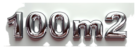100m2 logo